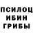 Псилоцибиновые грибы Cubensis ELMUROD Abduholiqov